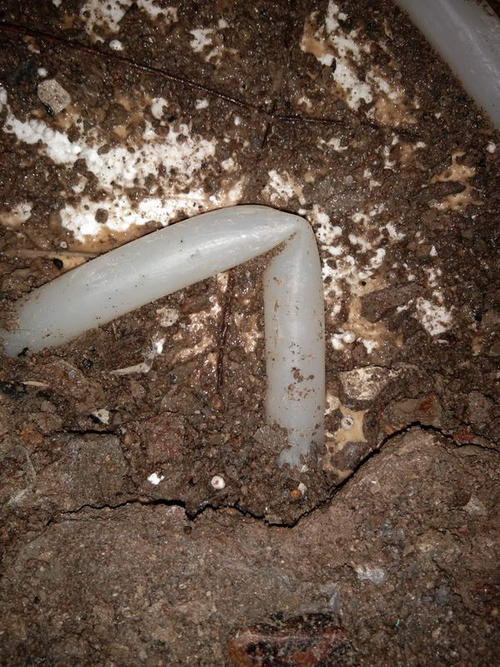 仪陇堵点精准查找